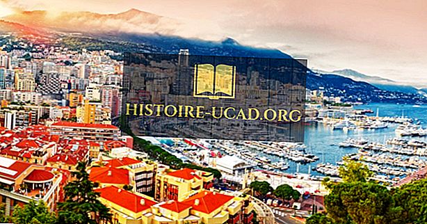 Jaké jsou největší průmyslová odvětví v Monaku?