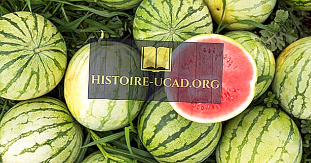 ekonomi - De största vattenmelonproducerande länderna i världen