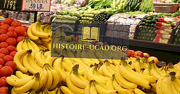 икономика - Откъде идват бананите на Америка?