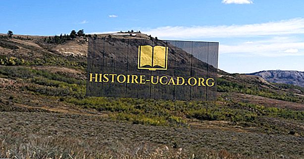 Fossil Butte Monumentul Național - Locații unice în America de Nord
