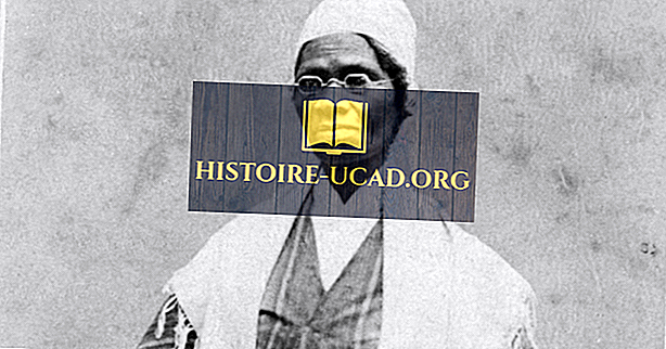 funktion - Vem var Sojourner Sanning och varför är hon viktig?