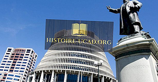 Koji tip vlade ima Novi Zeland?