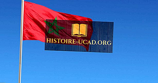 politik - Apa Jenis Pemerintahan yang Dimiliki Maroko?