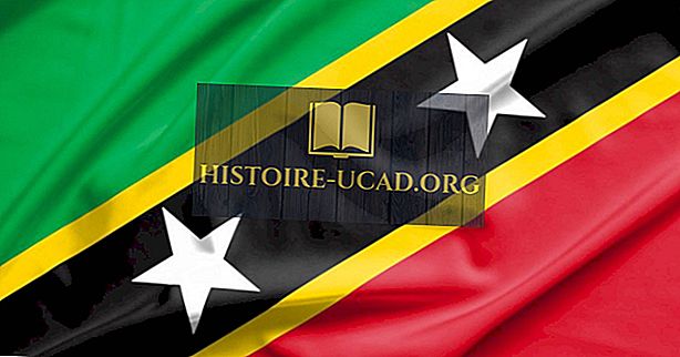 politique - Quel type de gouvernement possède Saint-Kitts-et-Nevis?
