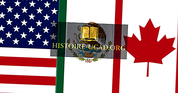 společnost - Severoamerická dohoda o volném obchodu (NAFTA)