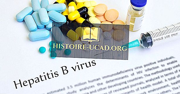 ühiskonnas - B-hepatiidi faktid: maailma haigused