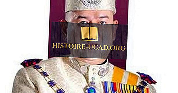 Малезијски монархи модерне ере (Ианг ди-Пертуан Агонг)