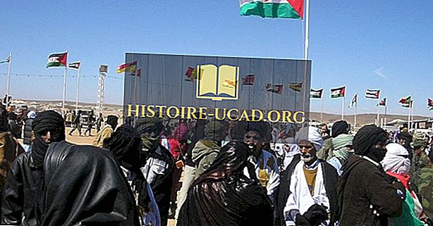 Hvad er den sahrawiske arabiske demokratiske republik (Vestsahara)?
