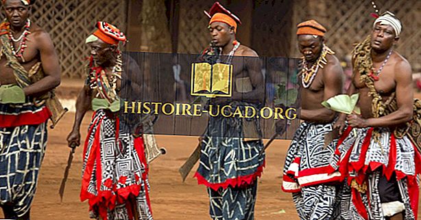 Grupos étnicos dos Camarões