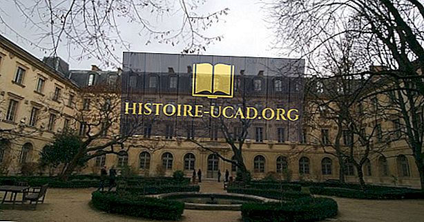 Enim hinnatud ülikoolid Prantsusmaal