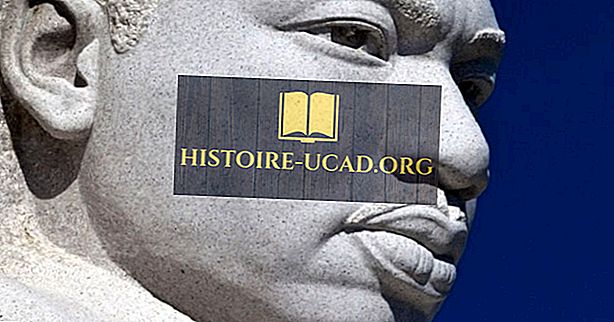 ühiskonnas - Martin Luther King Jr - USA ajaloo olulised näitajad