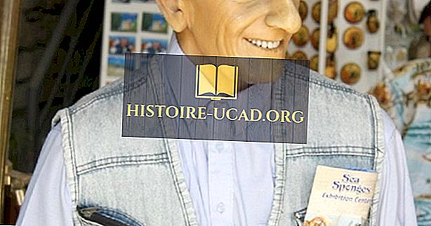 Жак Кусто: Познати истраживачи света