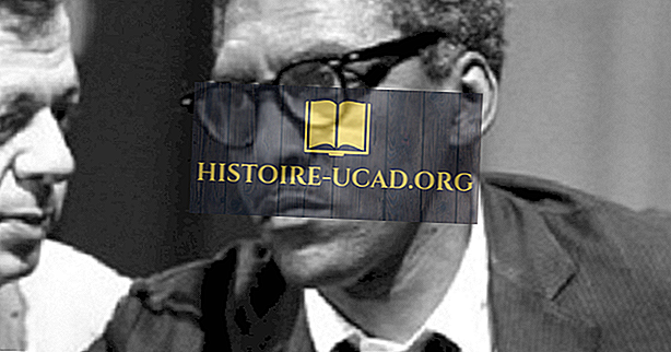 toplum - Bayard Rustin - ABD Tarihinde Önemli Rakamlar