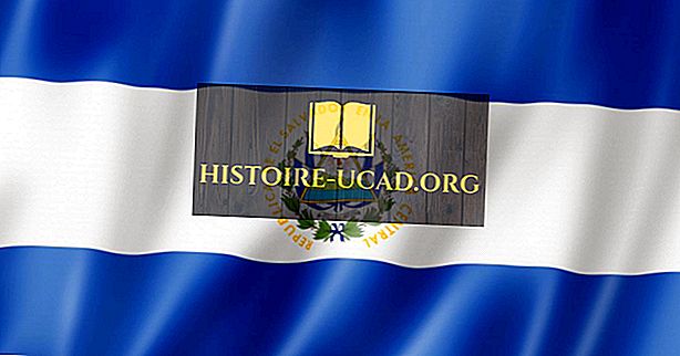 Hvilke sprog tales i El Salvador?