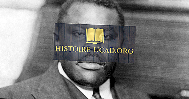 Marcus Garvey: Tarihte Önemli Rakamlar