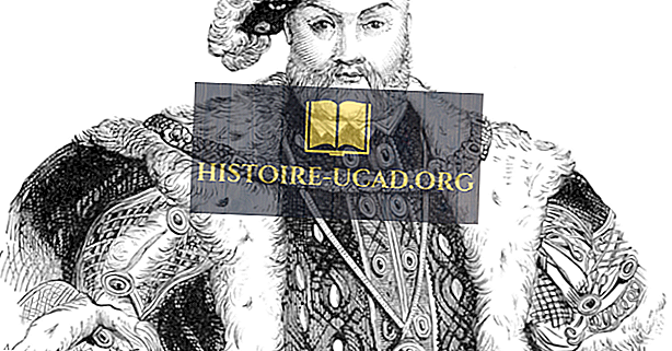 rejse - Kong Henry VIII af England - Verdensledere i historien