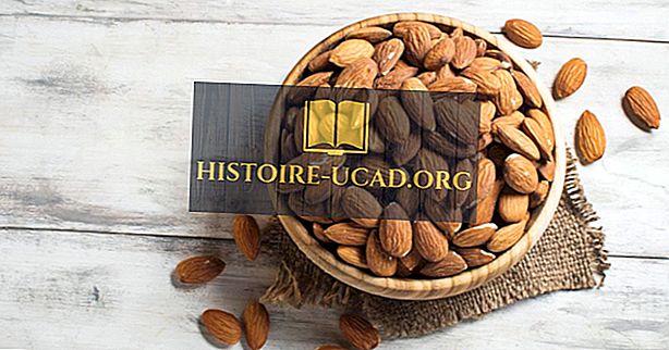 Negara Konsumsi Almond Teratas