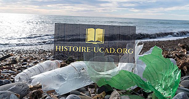 Los 10 tipos de basura que se encuentran más comúnmente en las playas alrededor del mundo