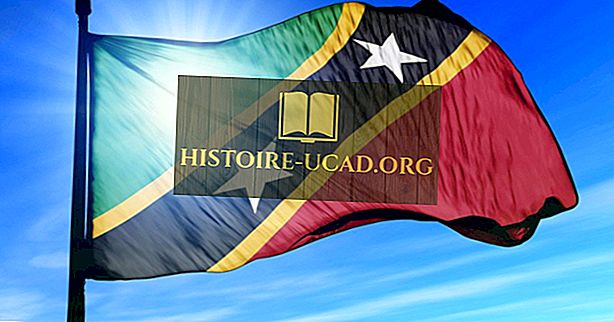 Que signifient les couleurs et les symboles du drapeau de Saint-Kitts-et-Nevis?