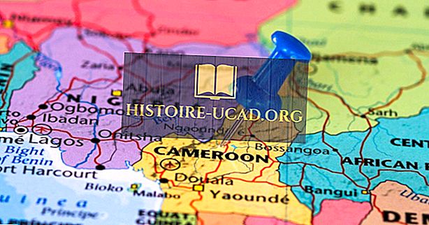 Koje zemlje graniče s Kamerunom?