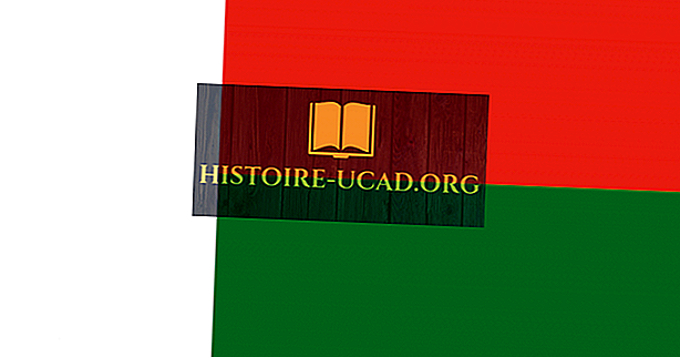 Ką reiškia Madagaskaro vėliavos spalvos ir simboliai?