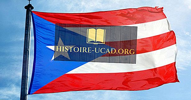 Vad betyder färgerna och symbolerna på flaggan av Puerto Rico?