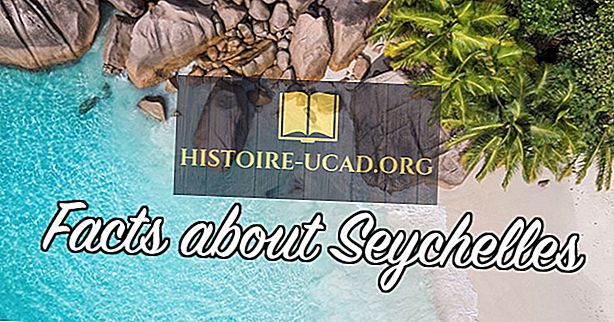 Topp 10 Interessante fakta om Seychellene