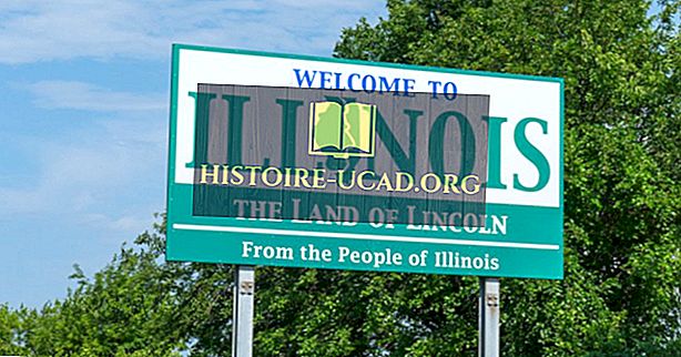 Welche Staaten Borde Illinois?