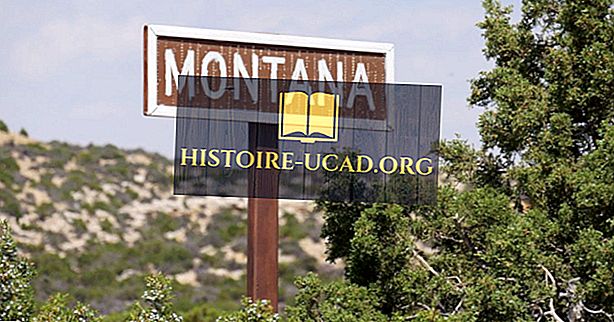 Vilka stater gränsar Montana?