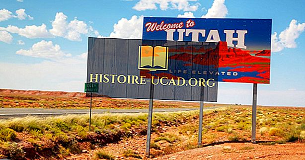 Welche Bundesstaaten grenzen an Utah?