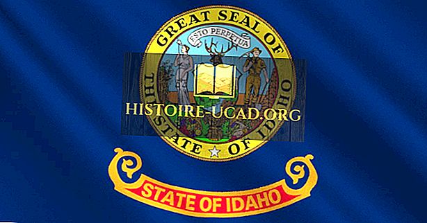Айдахо государственный флаг
