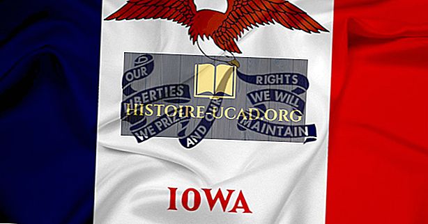 Hva ser statens flagg av Iowa ut?
