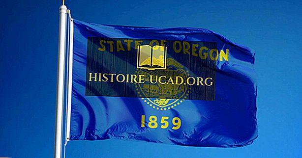 Oregoni riigilipp